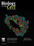 Go to journal home page - Biology of the Cell